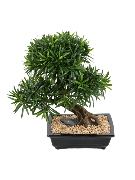 Bonsai podocarpus artificiel de 50 cm