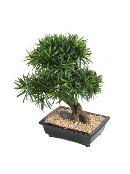 Bonsai podocarpus artificiel de 50 cm