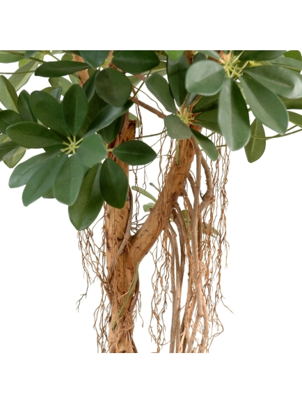 Scheffléra artificiel baby tree 150 cm
