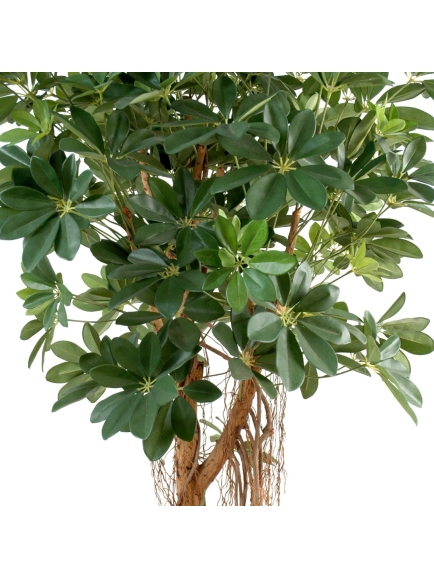 Scheffléra artificiel baby tree 150 cm