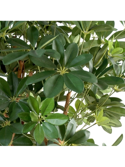 Scheffléra artificiel baby tree 150 cm