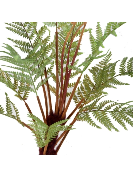 Fougère artificielle Diksonia