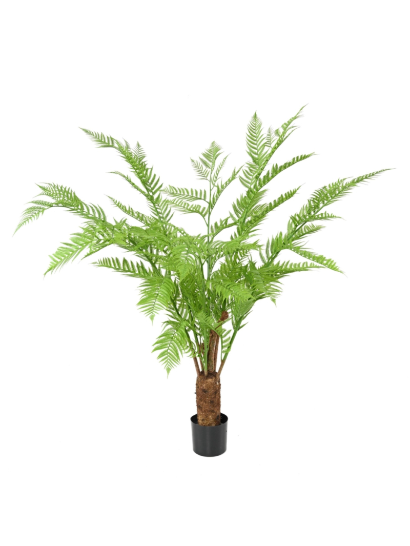 FOUGERE ARTIFICIELLE DICKSONIA
