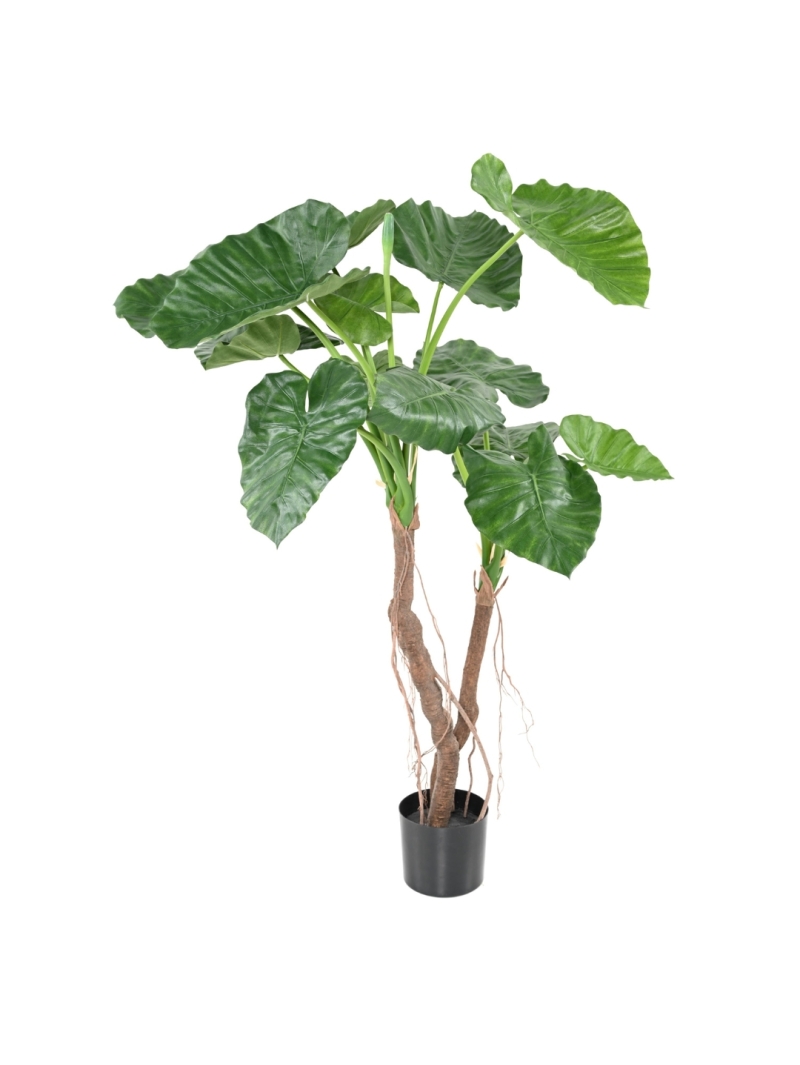 ALOCASIA ARTIFICIEL CALIDORA 2