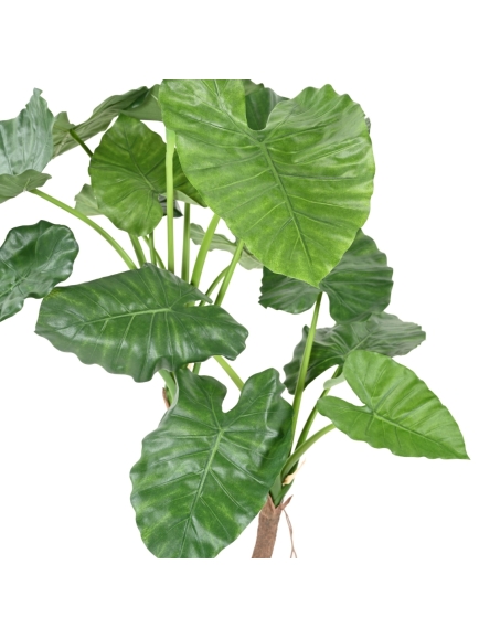 ALOCASIA ARTIFICIEL CALIDORA 2