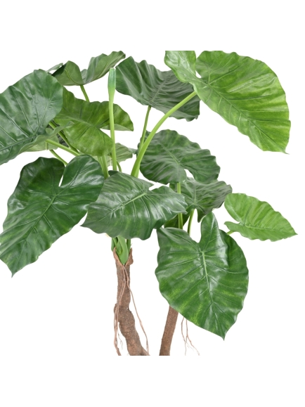 ALOCASIA ARTIFICIEL CALIDORA 2