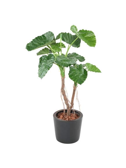 ALOCASIA ARTIFICIEL CALIDORA 2