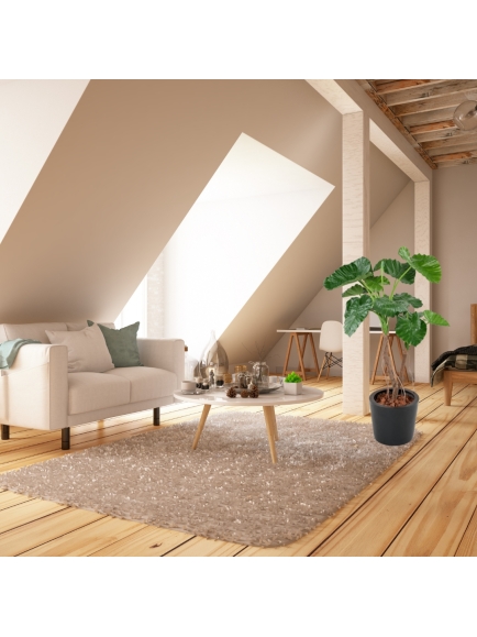 ALOCASIA ARTIFICIEL CALIDORA 2