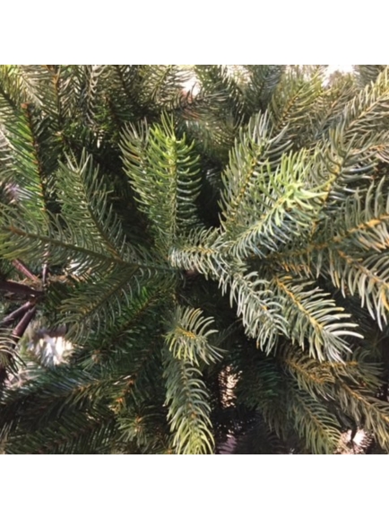 Sapin artificiel GRANDIS NF - 5 tailles