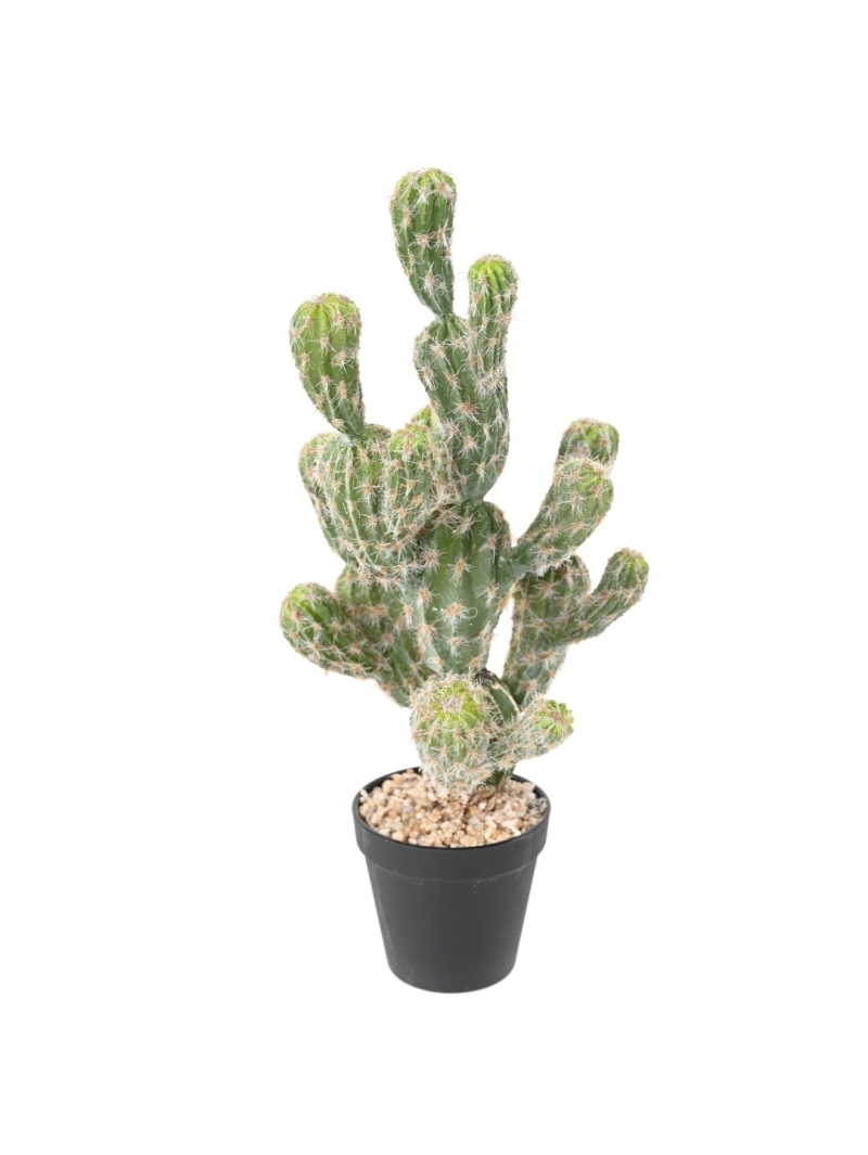 CACTUS ARTIFICIEL ECHINOCEREUS