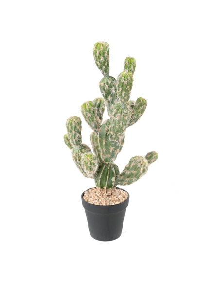 CACTUS ARTIFICIEL ECHINOCEREUS