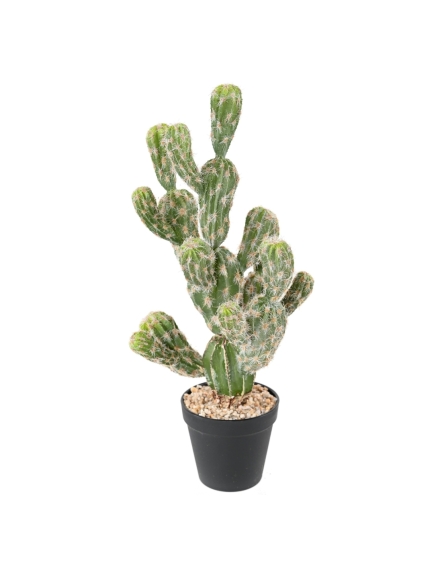 CACTUS ARTIFICIEL ECHINOCEREUS