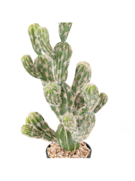 CACTUS ARTIFICIEL ECHINOCEREUS