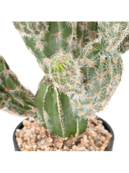 CACTUS ARTIFICIEL ECHINOCEREUS