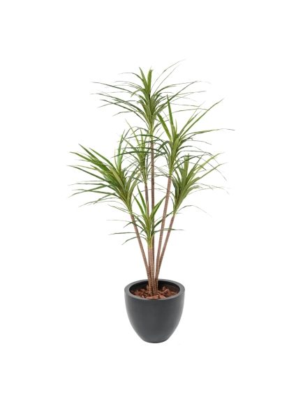 DRACAENA MARGINATA ARTIFICIEL 160 CM