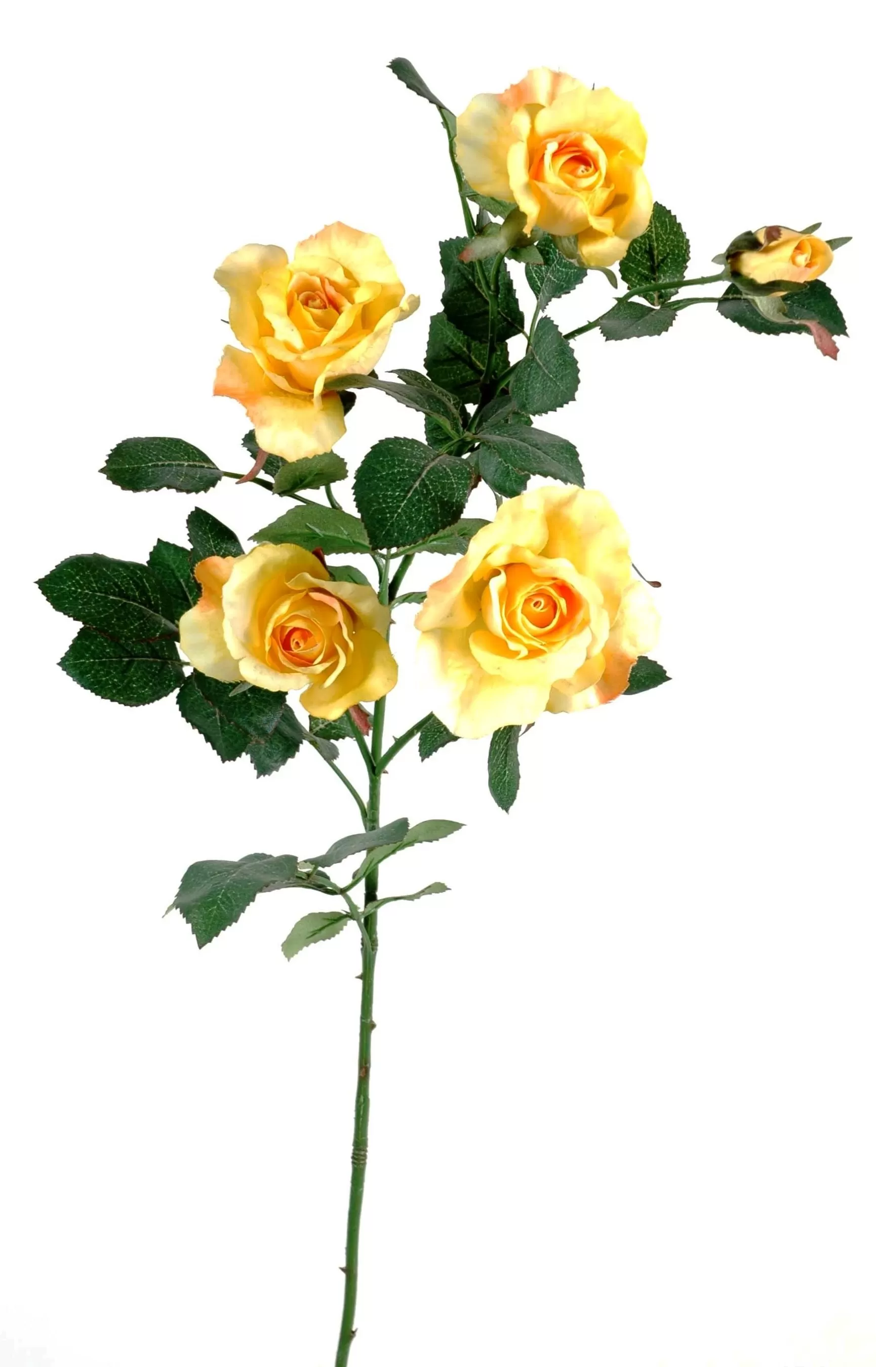 WELCO 2021 Nouveau Fleur Artificielle Rose Color/ée,Romantique Rose /éternelle Symbolise lamour /éternel,Cadeau de Saint-Valentin ou Anniversaire de Mariage Cadeaux Uniques pour Filles,Decoration Maison