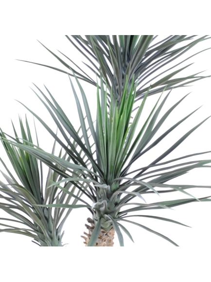 Palmier artificiel Yucca rostrata