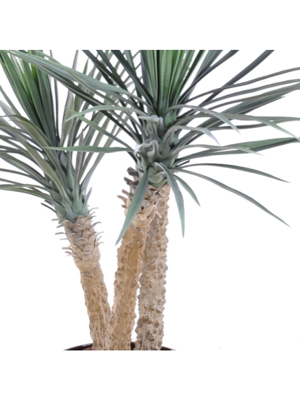 Palmier artificiel Yucca rostrata