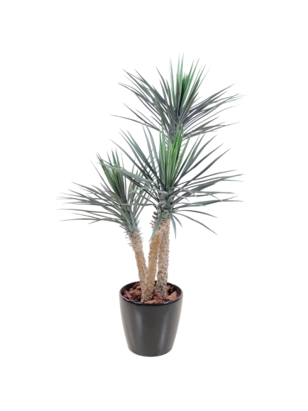 Palmier artificiel Yucca rostrata