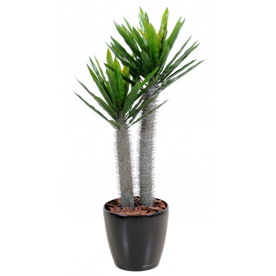 Palmier artificiel Pachypodium plastique - Hauteur 100cm Diamètre 50cm