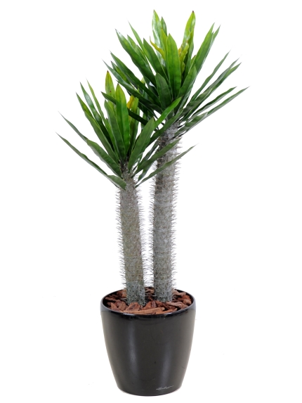 Palmier artificiel Pachypodium plastique - Hauteur 100 cm - Diamètre 50 cm