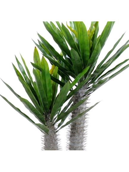 Palmier artificiel Pachypodium plastique - Hauteur 100 cm - Diamètre 50 cm