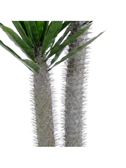 Palmier artificiel Pachypodium plastique - Hauteur 100 cm - Diamètre 50 cm