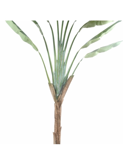 Arbre du voyageur artificiel