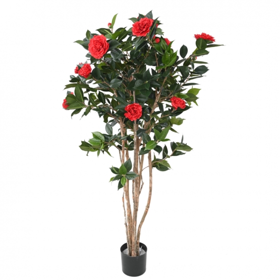 CAMELIA JAPONICA ARTIFICIEL DOUBLE NEW ROUGE 160 CM