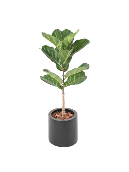 FICUS ARTIFICIEL LYRATA