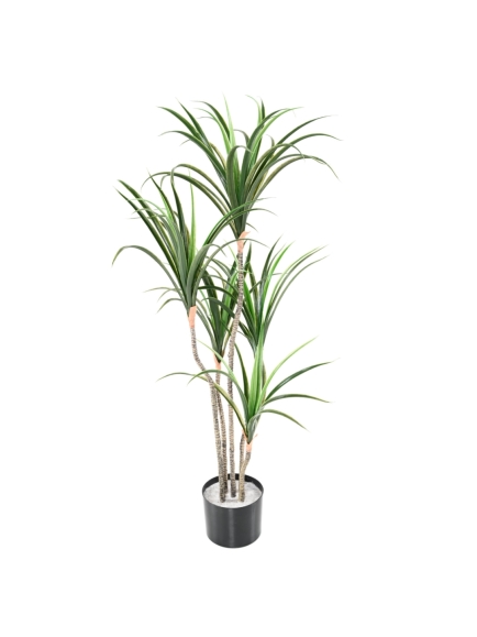 DRACAENA MARGINATA ARTIFICIEL 125 CM