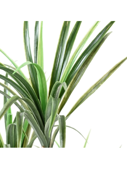 DRACAENA MARGINATA ARTIFICIEL 125 CM