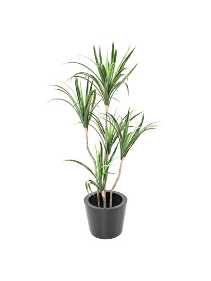 DRACAENA MARGINATA ARTIFICIEL 125 CM