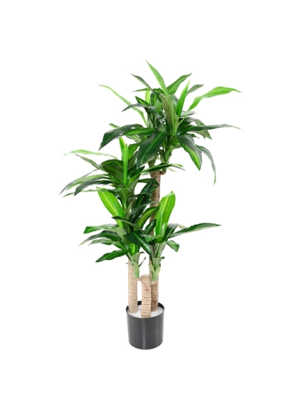 DRACAENA ARTIFICIEL FRAGRANS 135 CM