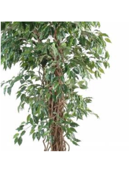 Ficus artificiel plus bac carré 40