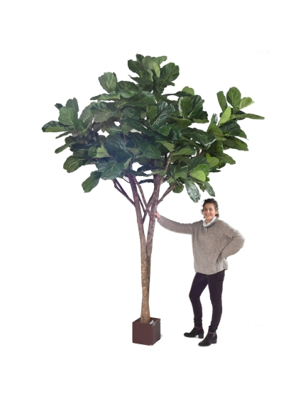 Arbre ficus artificiel LYRATA