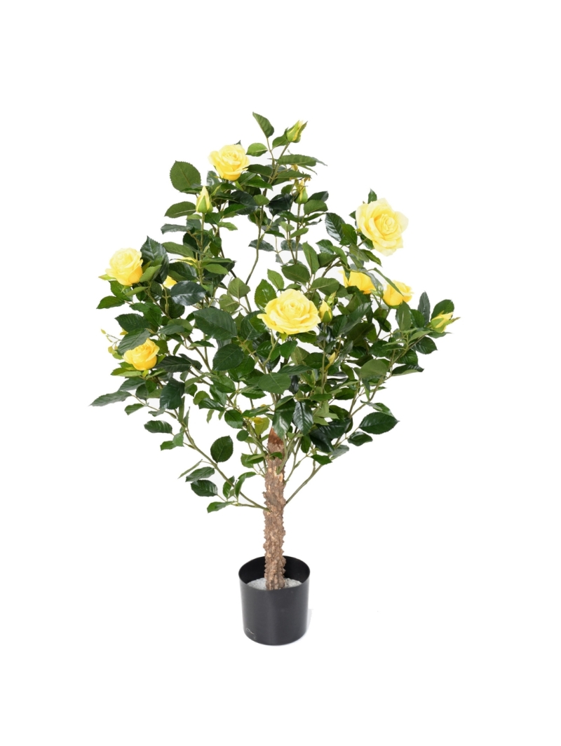 Rosier artificiel Royal