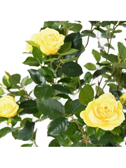 Rosier artificiel Royal