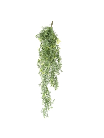 Chute d'Asparagus artificiel