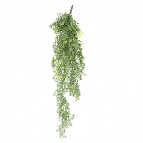 Chute d'Asparagus artificiel