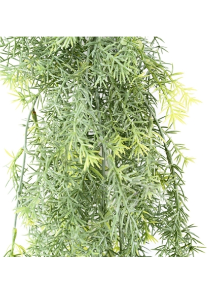 Chute d'Asparagus artificiel