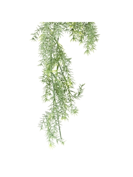 Chute d'Asparagus artificiel