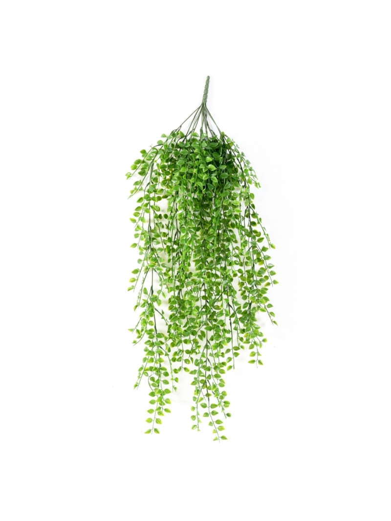 Chute de Callisia artificiel