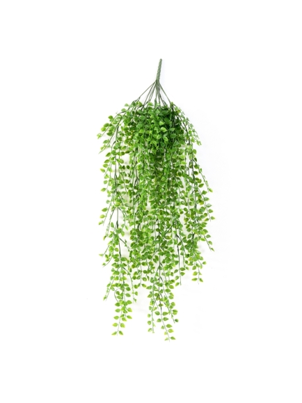 Chute de Callisia artificiel