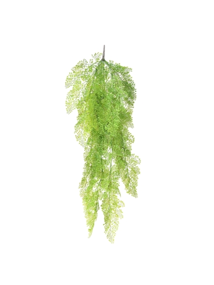 Chute d'Asparagus Rond artificiel