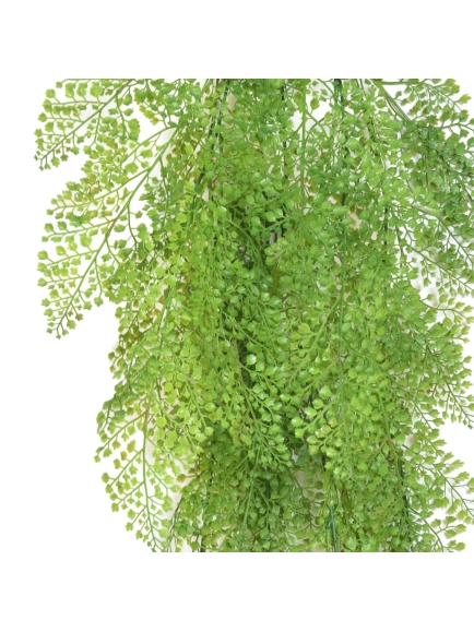 Chute d'Asparagus Rond artificiel