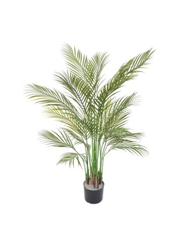Areca artificiel multitroncs