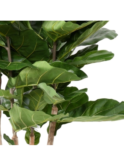 Ficus Lyrata artificiel Multitroncs