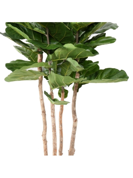 Ficus Lyrata artificiel Multitroncs