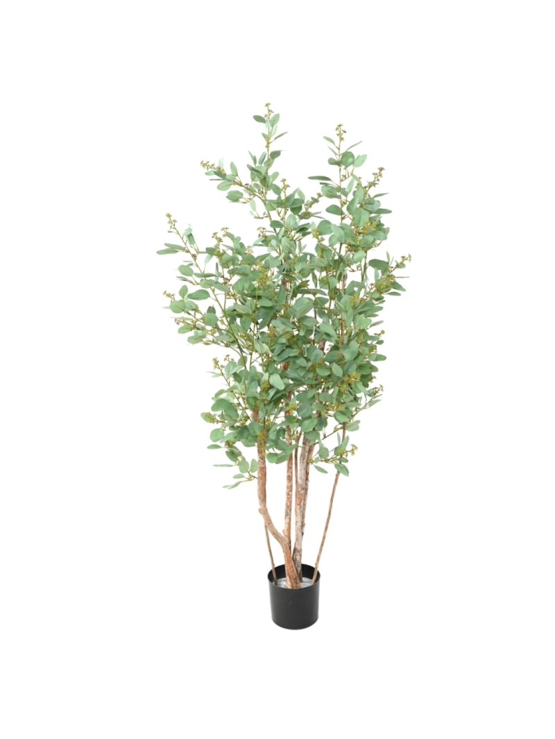 Eucalyptus artifiel